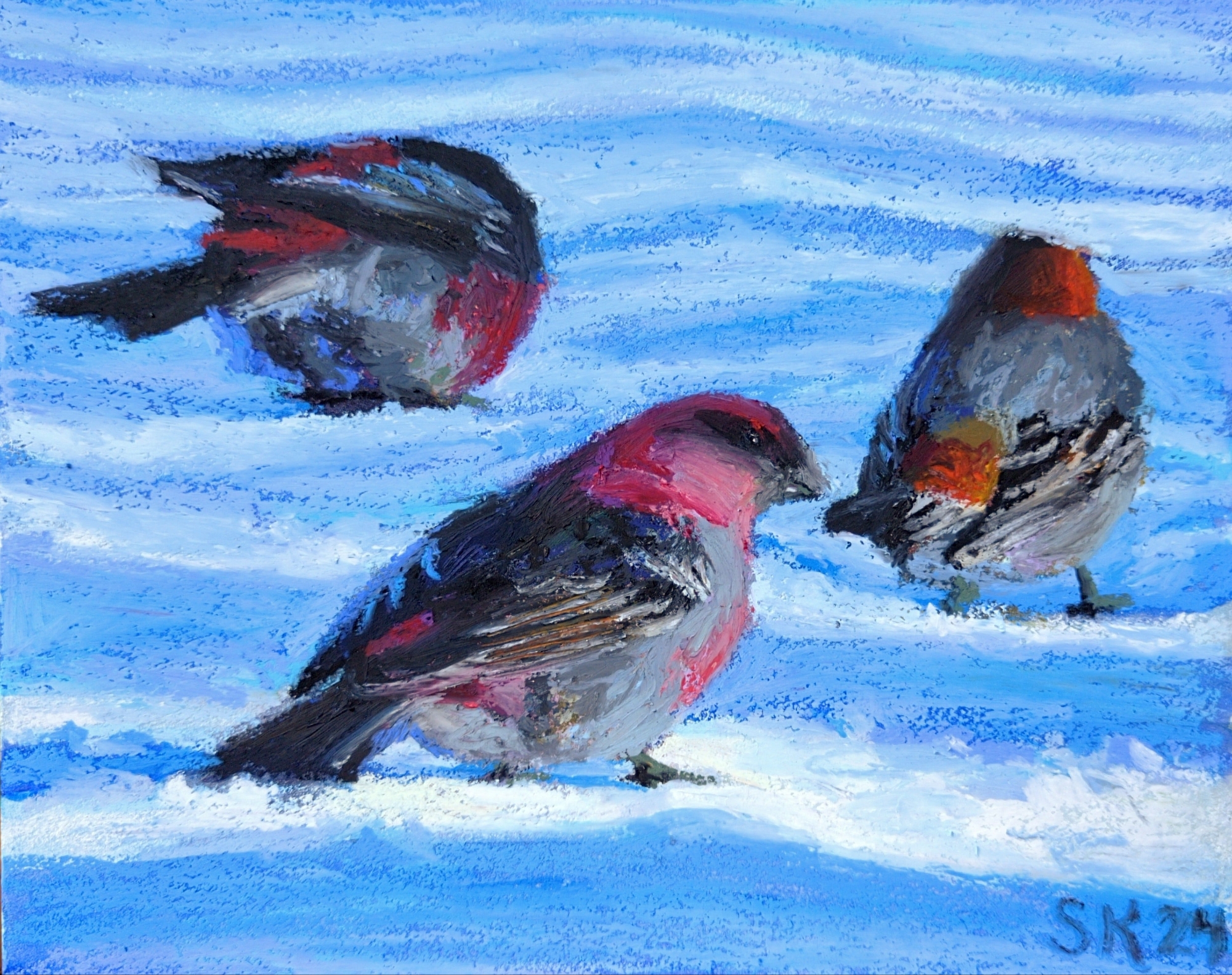 Three Pine Grosbeaks