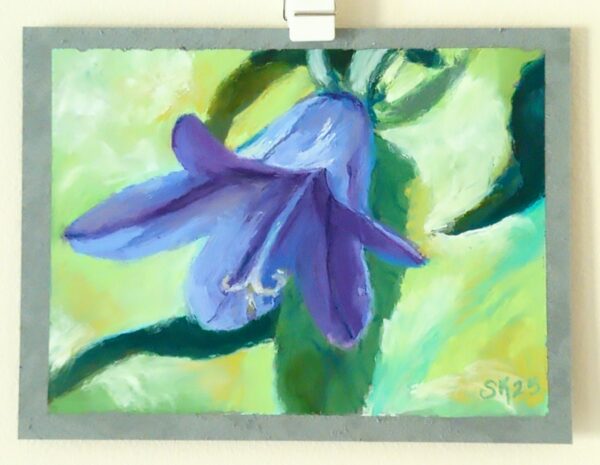 Purple Bellflower Study in Oil Pastel